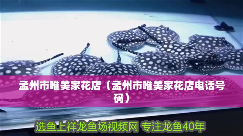 <strong><mark>孟州</mark></strong>市唯美家花店（<strong><mark>孟州</mark></strong>市唯美家花店電話號碼）