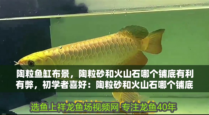 陶粒魚缸布景，陶粒砂和火山石哪個鋪底有利有弊，初學者喜好：陶粒砂和火山石哪個鋪底好