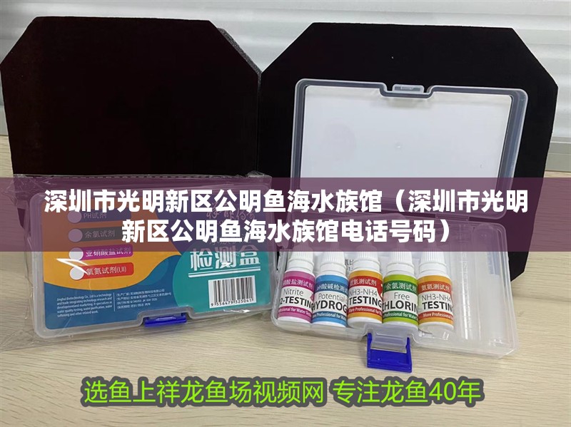 深圳市光明新區(qū)公明魚海水族館（深圳市光明新區(qū)公明魚海水族館電話號(hào)碼）