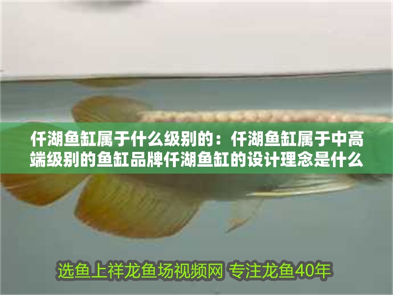 仟湖魚缸屬于什么級別的：仟湖魚缸屬于中高端級別的魚缸品牌仟湖魚缸的設計理念是什么
