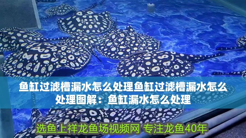 魚缸過濾槽漏水怎么處理魚缸過濾槽漏水怎么處理圖解：魚缸漏水怎么處理