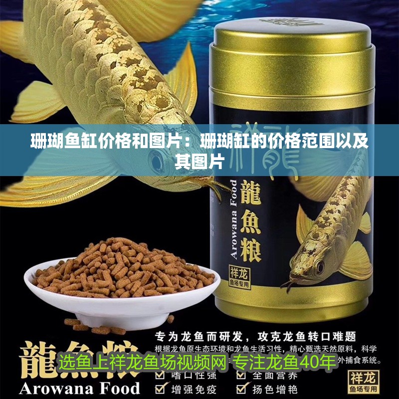 珊瑚魚缸價格和圖片：珊瑚缸的價格范圍以及其圖片