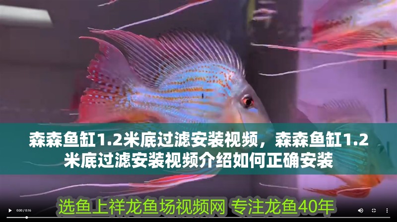 森森魚缸1.2米底過濾安裝視頻，森森魚缸1.2米底過濾安裝視頻介紹如何正確安裝