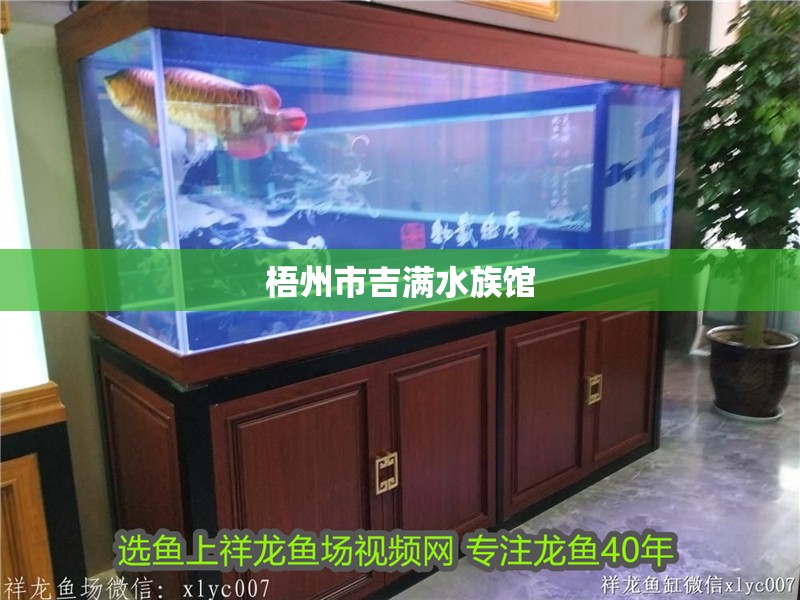 <strong><mark>梧州</mark></strong>市吉滿水族館