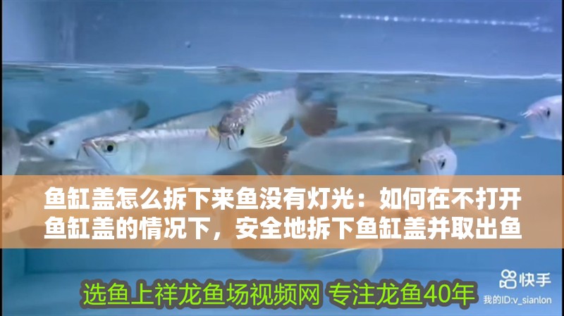 魚缸蓋怎么拆下來魚沒有燈光：如何在不打開魚缸蓋的情況下，安全地拆下魚缸蓋并取出魚類