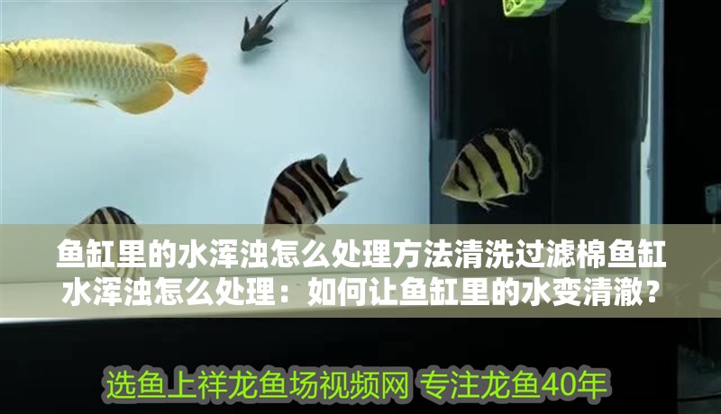 魚缸里的水渾濁怎么處理方法清洗過濾棉魚缸水渾濁怎么處理：如何讓魚缸里的水變清澈？