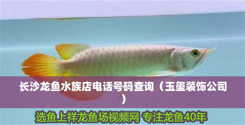 長沙龍魚水族店電話號碼查詢（玉璽裝飾公司）