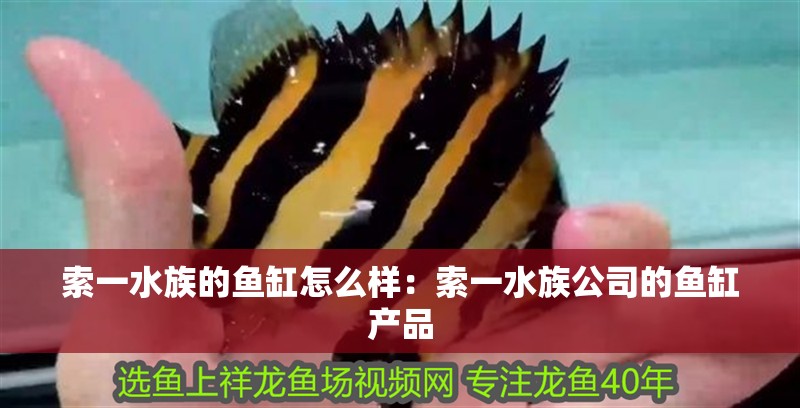 索一水族的魚缸怎么樣：索一水族公司的魚缸產品 索一水族的魚缸怎么樣：索一水族公司的魚缸產品 魚缸百科