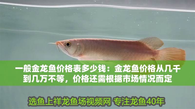 一般金龍魚價格表多少錢：金龍魚價格從幾千到幾萬不等，價格還需根據(jù)市場情況而定