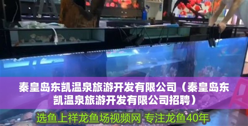 秦皇島東凱溫泉旅游開(kāi)發(fā)有限公司（秦皇島東凱溫泉旅游開(kāi)發(fā)有限公司招聘）