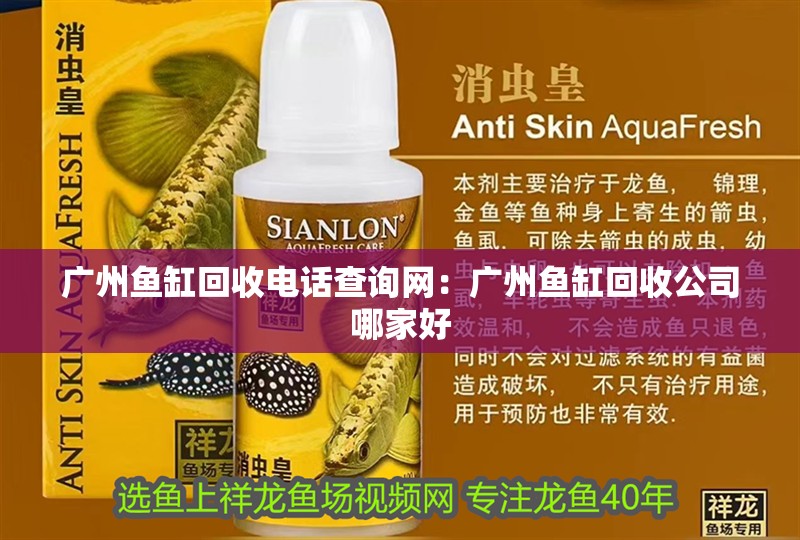 廣州魚缸回收電話查詢網：廣州魚缸回收公司哪家好