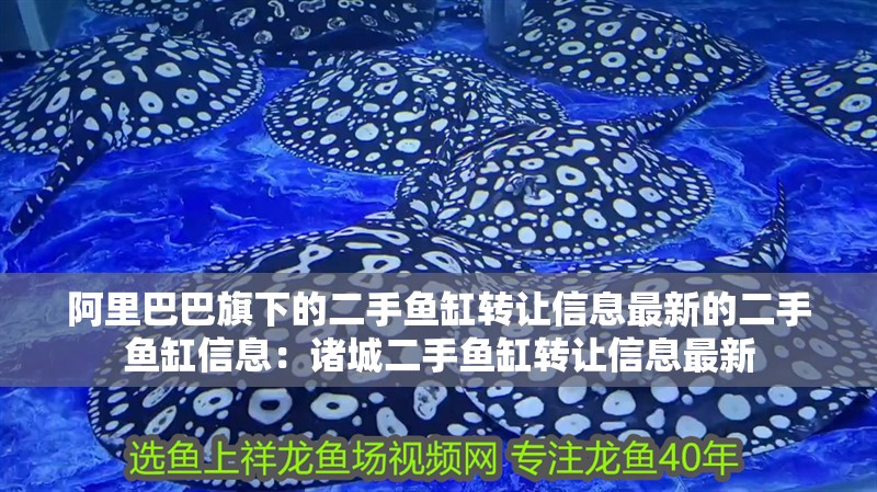 阿里巴巴旗下的二手魚缸轉讓信息最新的二手魚缸信息：諸城二手魚缸轉讓信息最新 阿里巴巴旗下的二手魚缸轉讓信息最新的二手魚缸信息：諸城二手魚缸轉讓信息最新 魚缸百科