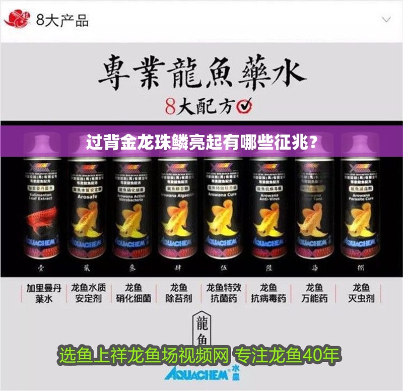 過背金龍珠鱗亮起有哪些征兆？
