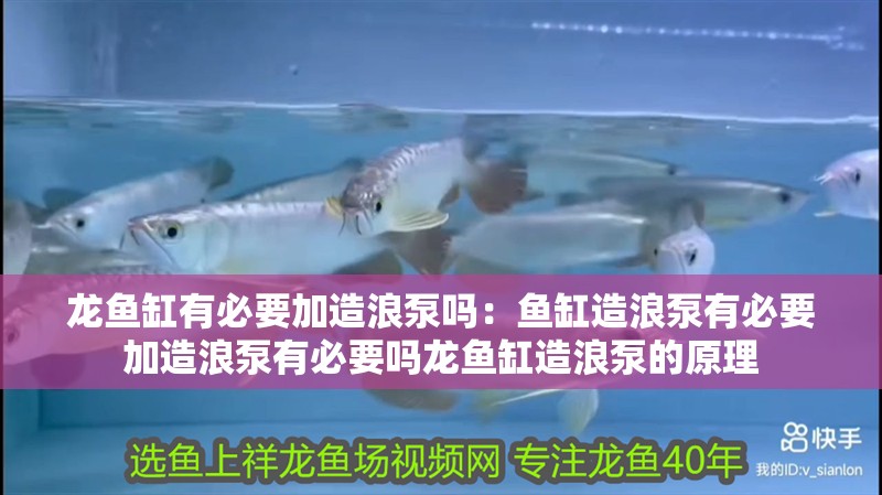 龍魚缸有必要加造浪泵嗎：魚缸造浪泵有必要加造浪泵有必要嗎龍魚缸造浪泵的原理