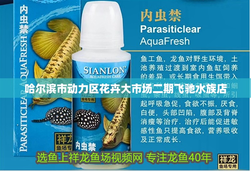 哈爾濱市動力區花卉大市場二期飛馳水族店