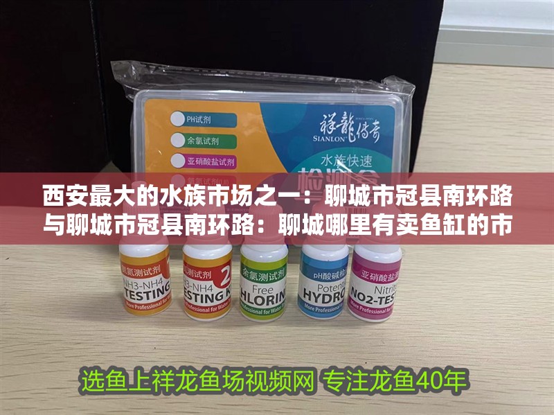 <strong><mark>西安</mark></strong>最大的水族市場(chǎng)之一：聊城市冠縣南環(huán)路與聊城市冠縣南環(huán)路：聊城哪里有賣(mài)魚(yú)缸的市場(chǎng)