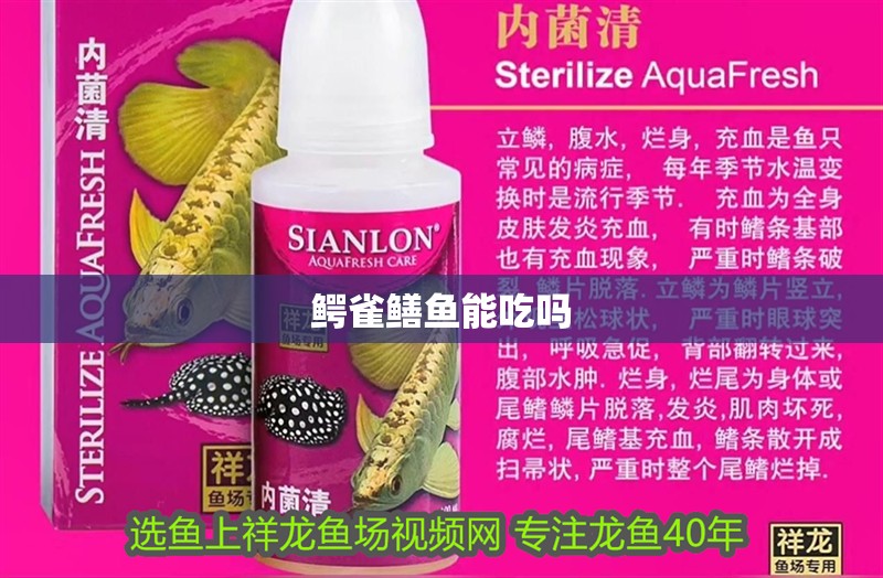 鱷雀鱔魚能吃嗎