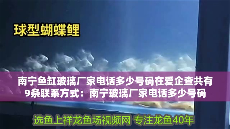 南寧魚缸玻璃廠家電話多少號碼在愛企查共有9條聯系方式：南寧玻璃廠家電話多少號碼
