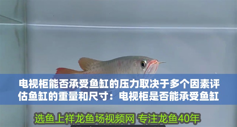 電視柜能否承受魚缸的壓力取決于多個(gè)因素評(píng)估魚缸的重量和尺寸：電視柜是否能承受魚缸的壓力
