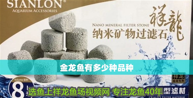 金龍魚有多少種品種