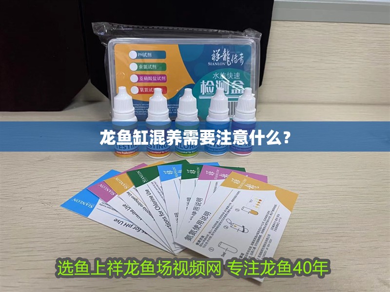 龍魚缸混養(yǎng)需要注意什么？