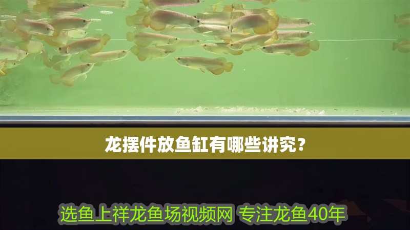 龍擺件放魚缸有哪些講究？