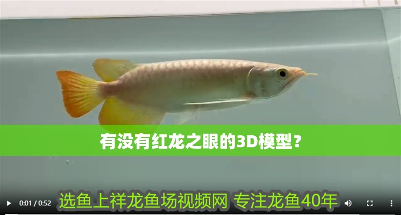 有沒有紅龍之眼的3D模型？