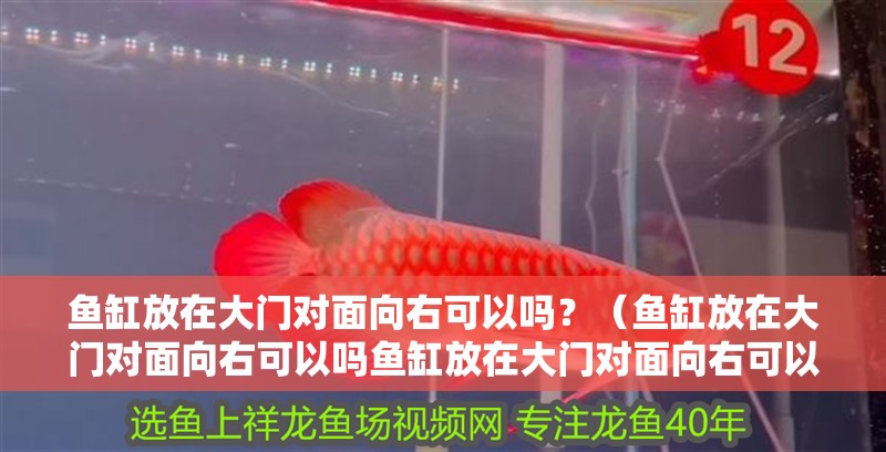 魚缸放在大門對面向右可以嗎？（魚缸放在大門對面向右可以嗎魚缸放在大門對面向右可以嗎）