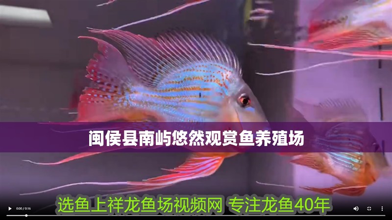 魚缸用增氧泵價格是多少:魚缸增氧機-xtrac增氧機-xtrac增氧機 閩侯縣南嶼悠然觀賞魚養(yǎng)殖場 全國水族館企業(yè)名錄 閩侯縣南嶼悠然觀賞魚養(yǎng)殖場 閩侯縣南嶼悠然觀賞魚養(yǎng)殖場 全國水族館企業(yè)名錄