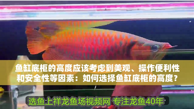 魚缸底柜的高度應該考慮到美觀、操作便利性和安全性等因素：如何選擇魚缸底柜的高度？ 魚缸底柜的高度應該考慮到美觀、操作便利性和安全性等因素：如何選擇魚缸底柜的高度？ 魚缸百科