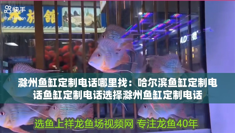 滁州魚缸定制電話哪里找：哈爾濱魚缸定制電話魚缸定制電話選擇滁州魚缸定制電話