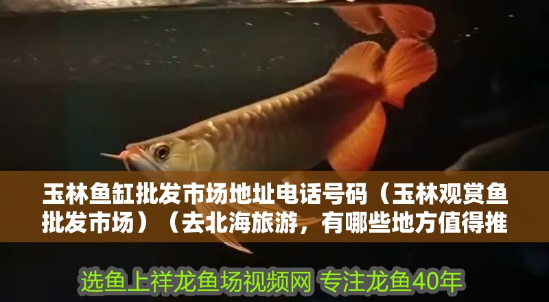 玉林魚缸批發市場地址電話號碼（玉林觀賞魚批發市場）（去北海旅游，有哪些地方值得推薦？）