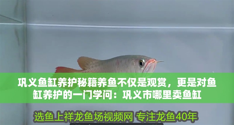 鞏義魚(yú)缸養(yǎng)護(hù)秘籍養(yǎng)魚(yú)不僅是觀賞，更是對(duì)魚(yú)缸養(yǎng)護(hù)的一門學(xué)問(wèn)：鞏義市哪里賣魚(yú)缸
