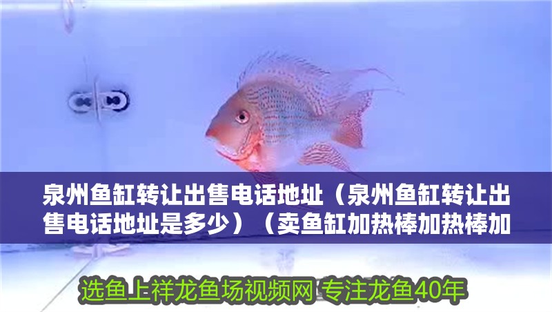泉州魚缸轉讓出售電話地址（泉州魚缸轉讓出售電話地址是多少）（賣魚缸加熱棒加熱棒加熱棒加熱棒是最常用的水族硬件）
