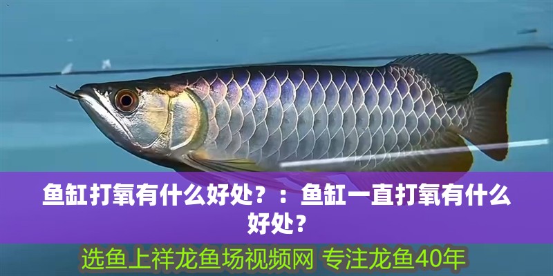 魚缸打氧有什么好處？：魚缸一直打氧有什么好處？ 魚缸打氧有什么好處？：魚缸一直打氧有什么好處？ 魚缸百科