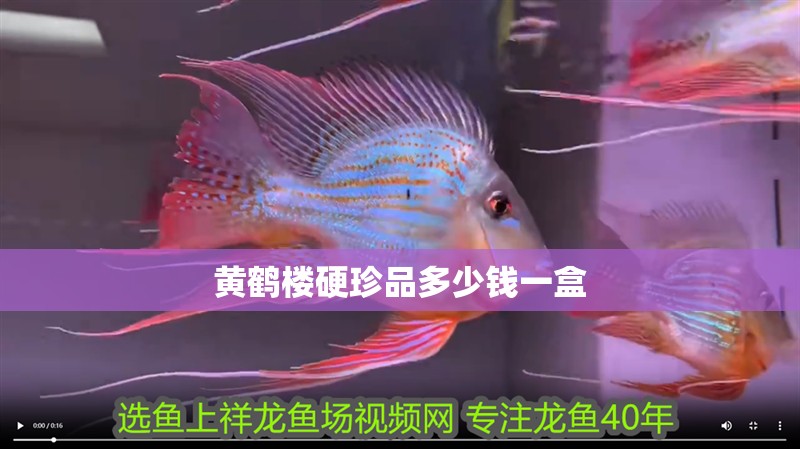 黃鶴樓硬珍品多少錢一盒 黃鶴樓硬珍品多少錢一盒 龍魚論壇