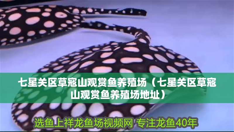 七星關區草寇山觀賞魚養殖場（七星關區草寇山觀賞魚養殖場地址）