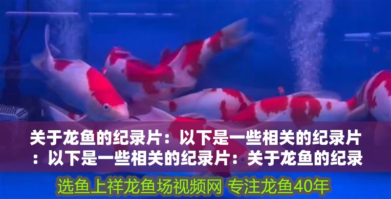 關于龍魚的紀錄片：以下是一些相關的紀錄片：以下是一些相關的紀錄片：關于龍魚的紀錄片有哪些？