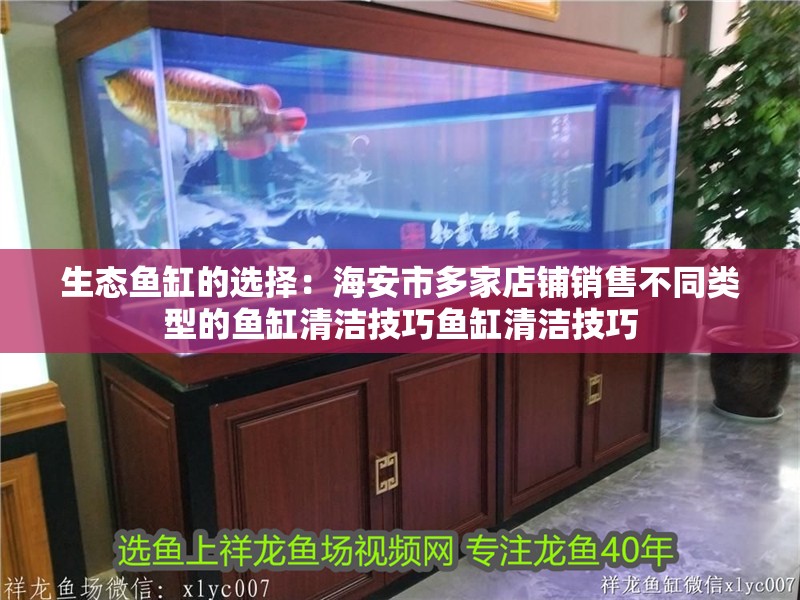 生態(tài)魚缸的選擇：海安市多家店鋪銷售不同類型的魚缸清潔技巧魚缸清潔技巧