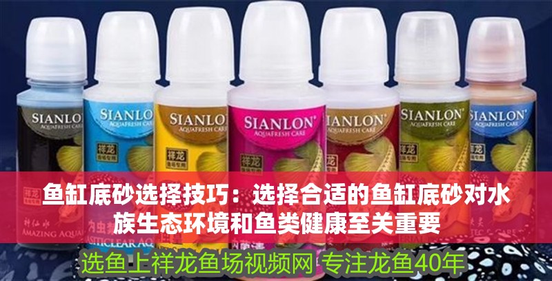 魚缸底砂選擇技巧：選擇合適的魚缸底砂對水族生態環境和魚類健康至關重要 魚缸底砂選擇技巧：選擇合適的魚缸底砂對水族生態環境和魚類健康至關重要 魚缸百科