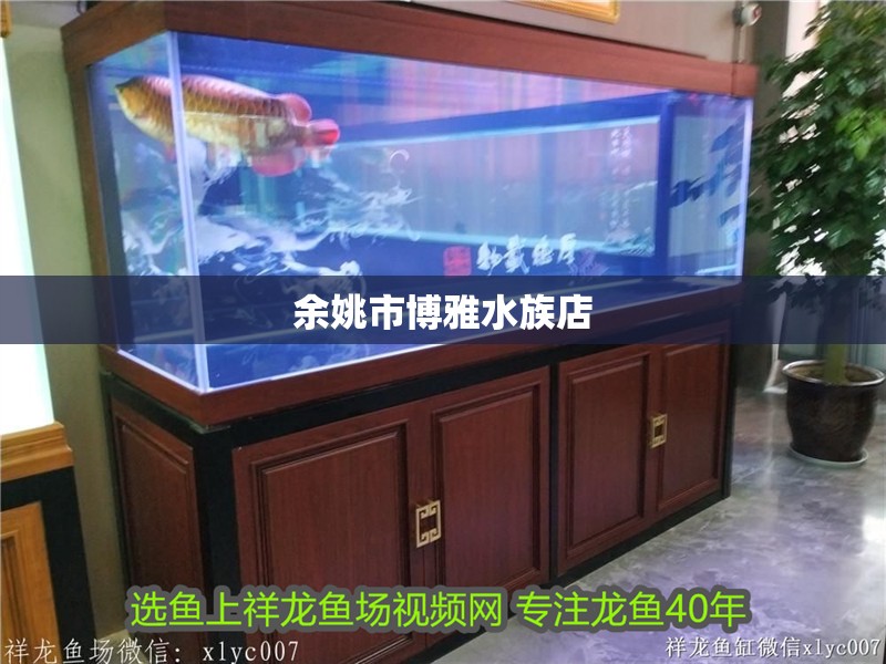 余姚市博雅水族店