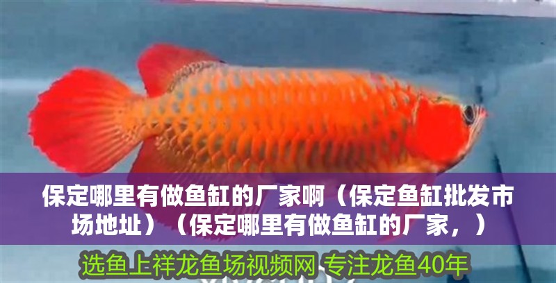 保定哪里有做魚缸的廠家啊（保定魚缸批發市場地址）（保定哪里有做魚缸的廠家，）