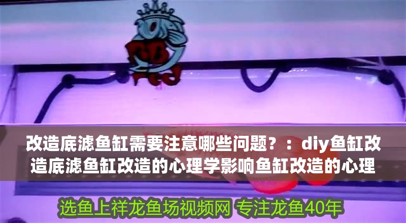 改造底濾魚缸需要注意哪些問題？：diy魚缸改造底濾魚缸改造的心理學影響魚缸改造的心理學