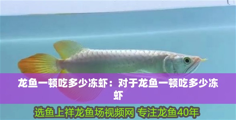 龍魚一頓吃多少凍蝦：對于龍魚一頓吃多少凍蝦