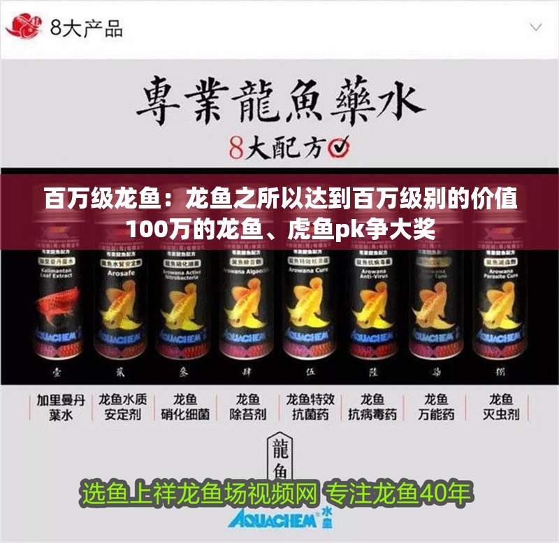 百萬級龍魚：龍魚之所以達到百萬級別的價值100萬的龍魚、虎魚pk爭大獎