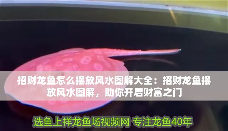 招財龍魚怎么擺放風水圖解大全：招財龍魚擺放風水圖解，助你開啟財富之門