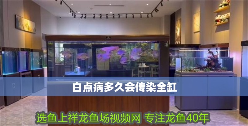 白點(diǎn)病多久會(huì)傳染全缸