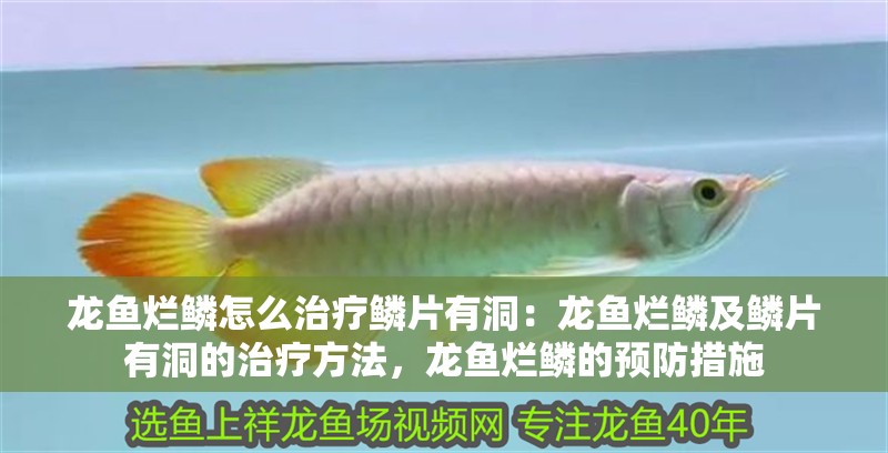 龍魚爛鱗怎么治療鱗片有洞：龍魚爛鱗及鱗片有洞的治療方法，龍魚爛鱗的預(yù)防措施