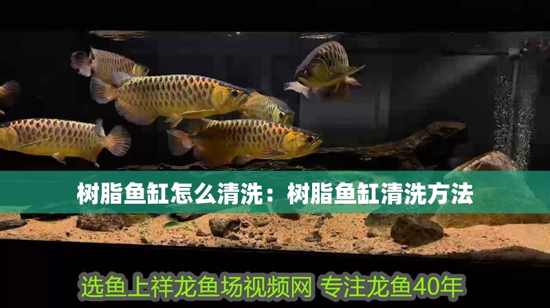 樹脂魚缸怎么清洗：樹脂魚缸清洗方法
