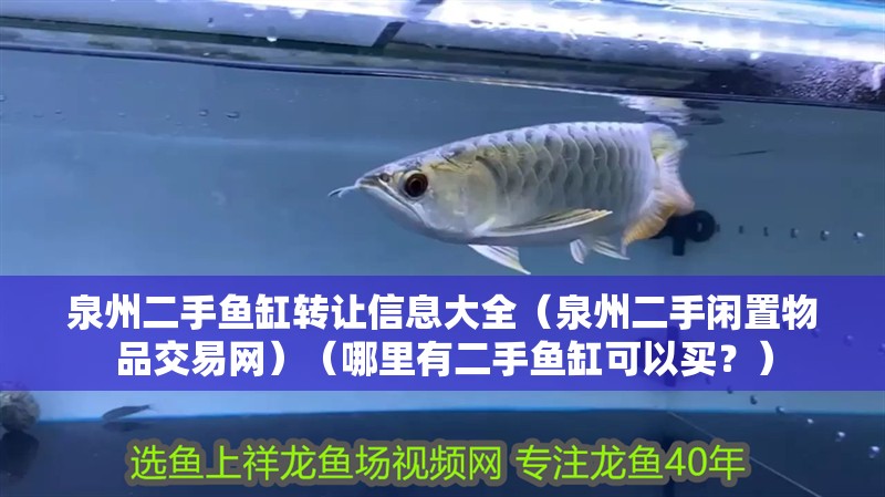 泉州二手魚缸轉讓信息大全（泉州二手閑置物品交易網）（哪里有二手魚缸可以買？）